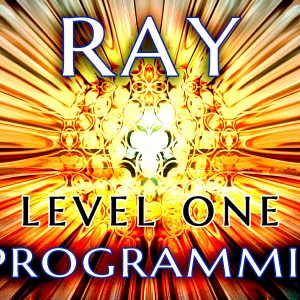 Ray - Level 1 - Reprogramming