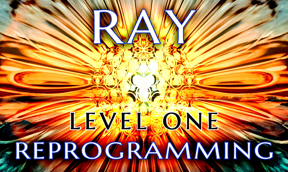 Ray - Level 1 - Reprogramming