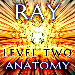 RAY - Level 2 - Anatomy Clearing